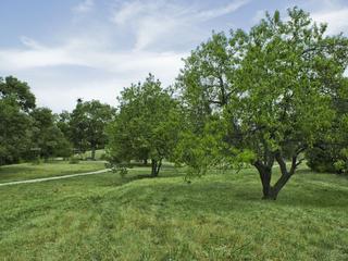 maison 5 pièces - 116m2 à Montpellier (34070)