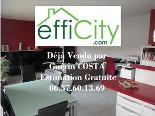 appartement 3 pièces - 66m2 à Feyzin (69320)