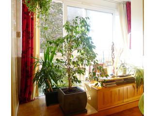 appartement 2 pièces - 50m2 à Rosny-Sous-Bois (93110)