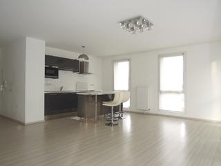 appartement 3 pièces - 65m2 à Lille (59800)