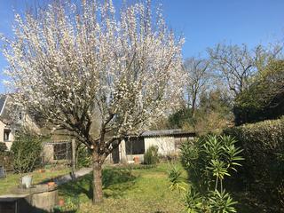 maison 5 pièces - 90m2 à Mérignac (33700)
