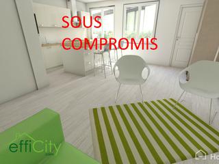 appartement 2 pièces - 48m2 à Lyon (69001)