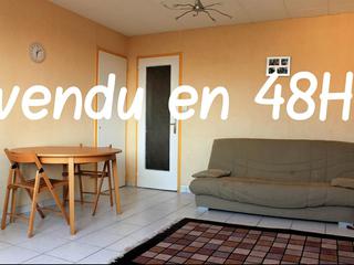 appartement 3 pièces - 57m2 à Vénissieux (69200)