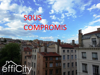 appartement 2 pièces - 55m2 à Lyon (69001)