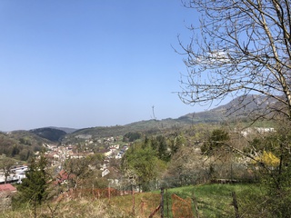 terrain  - 11500m2 à Salins-les-Bains (39110)