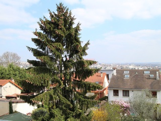 appartement 2 pièces - 60m2 à Montreuil (93100)