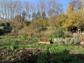 immeuble  - 492m2 à Ingersheim (68040)