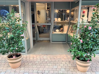 local-commercial 4 pièces - 80m2 à Cavaillon (84300)