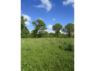 terrain  - 802m2 à Mesnil-Vigot (50570)