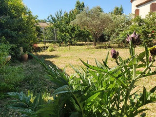 maison 4 pièces - 160m2 à Montbazin (34560)