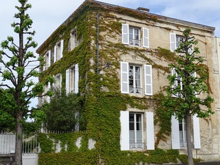 maison 8 pièces - 255m2 à Niort (79000)