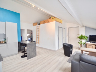appartement 3 pièces - 65m2 à Villeurbanne (69100)