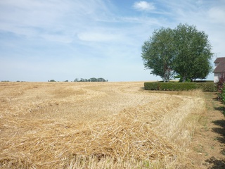 terrain  - 3987m2 à Le Tremblois (70100)