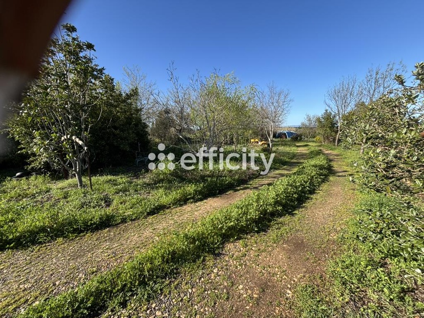 Achat immobilier Maison 6 pièces  126m2 à Pézenas (34120) - Photo n°14