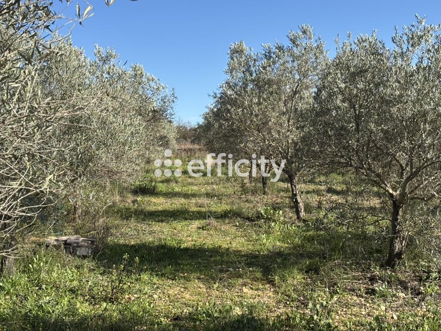 Achat immobilier Maison 6 pièces  126m2 à Pézenas (34120) - Photo n°13