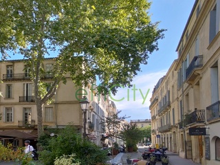 appartement 1 pièces - 26m2 à Montpellier (34000)