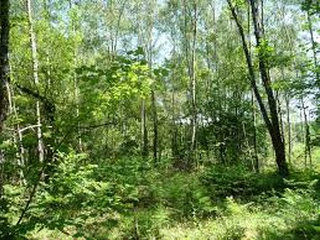 terrain  - 640m2 à Monteneuf (56380)