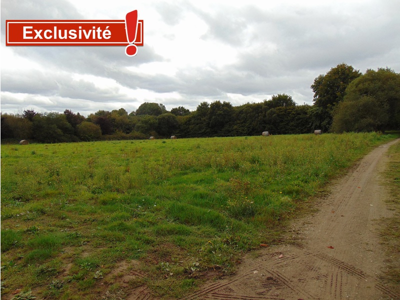 Quel Est Le Prix Du M2 De Terrain Non Constructible Achat terrain 8830 m2 Plouisy (22200)