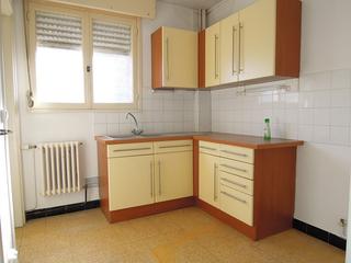 appartement 2 pièces - 48m2 à Lille (59000)