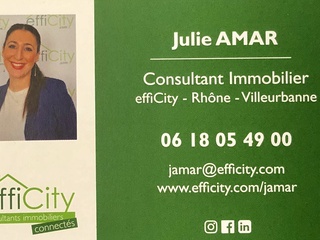 maison 5 pièces - 220m2 à Villeurbanne (69100)