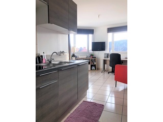 appartement 3 pièces - 60m2 à Haubourdin (59320)