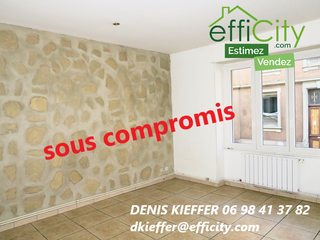 appartement 3 pièces - 80m2 à Mulhouse (68100)
