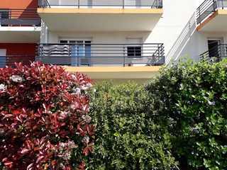 appartement 2 pièces - 43m2 à Le Loroux-Bottereau (44430)