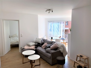 appartement 3 pièces - 58m2 à Lille (59800)