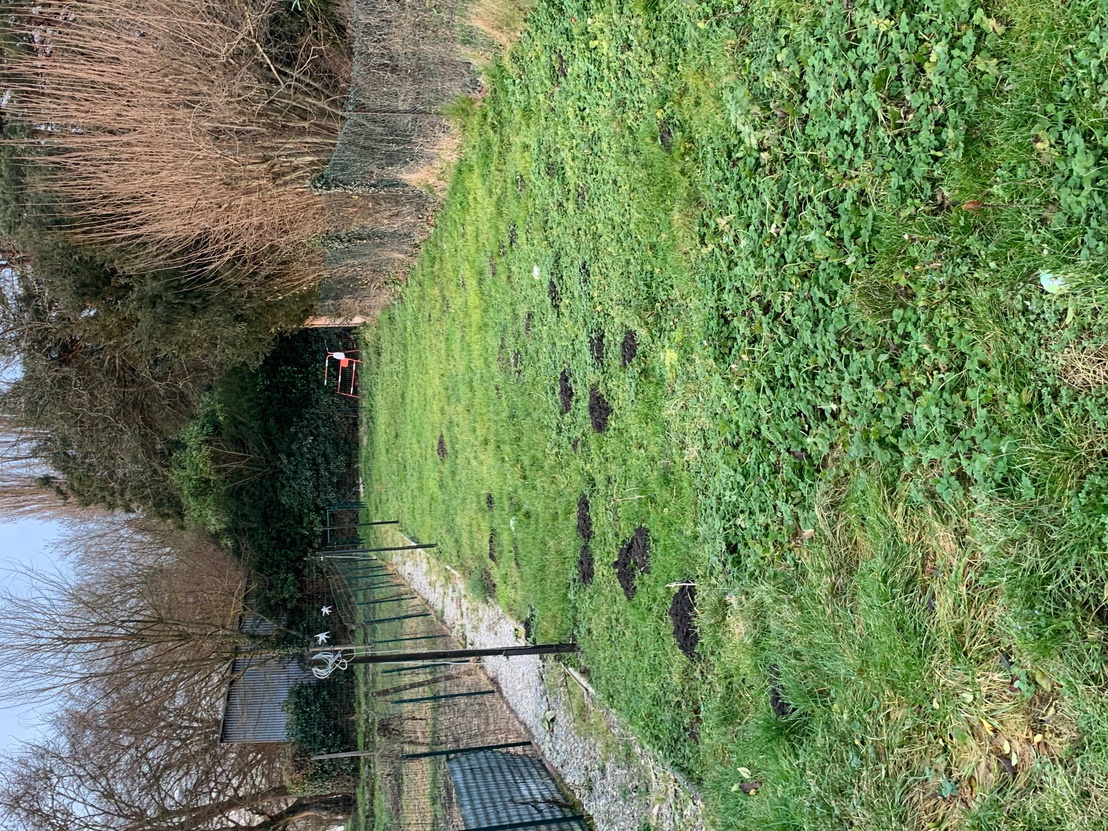 maison 4 pièces - 70m2 à Pas-en-Artois (62760)