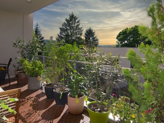 appartement 5 pièces - 115m2 à Caluire-et-Cuire (69300)