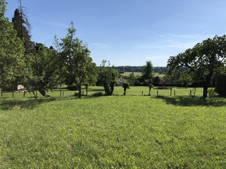 terrain  - 1280m2 à Pin (70150)