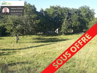 terrain  - 768m2 à Massieu (38620)