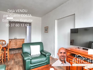 appartement 3 pièces - 52m2 à Villeurbanne (69100)