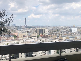 appartement 1 pièces - 34m2 à Paris (75015)