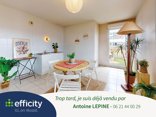 appartement 1 pièces - 43m2 à Villeurbanne (69100)