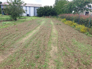 terrain  - 311m2 à Montréverd (85260)