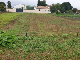 terrain  - 313m2 à Montréverd (85260)