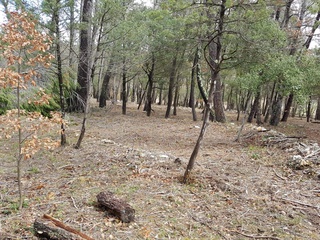 terrain  - 20731m2 à Seillans (83440)
