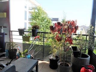 appartement 3 pièces - 60m2 à Villepreux (78450)