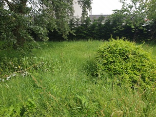 maison 4 pièces - 80m2 à Basse-Goulaine (44115)