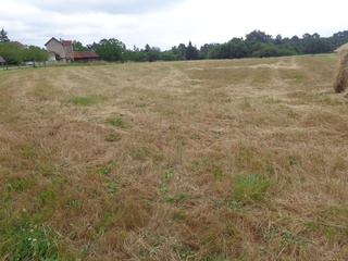 terrain  - 1309m2 à Saint-Géry (24400)