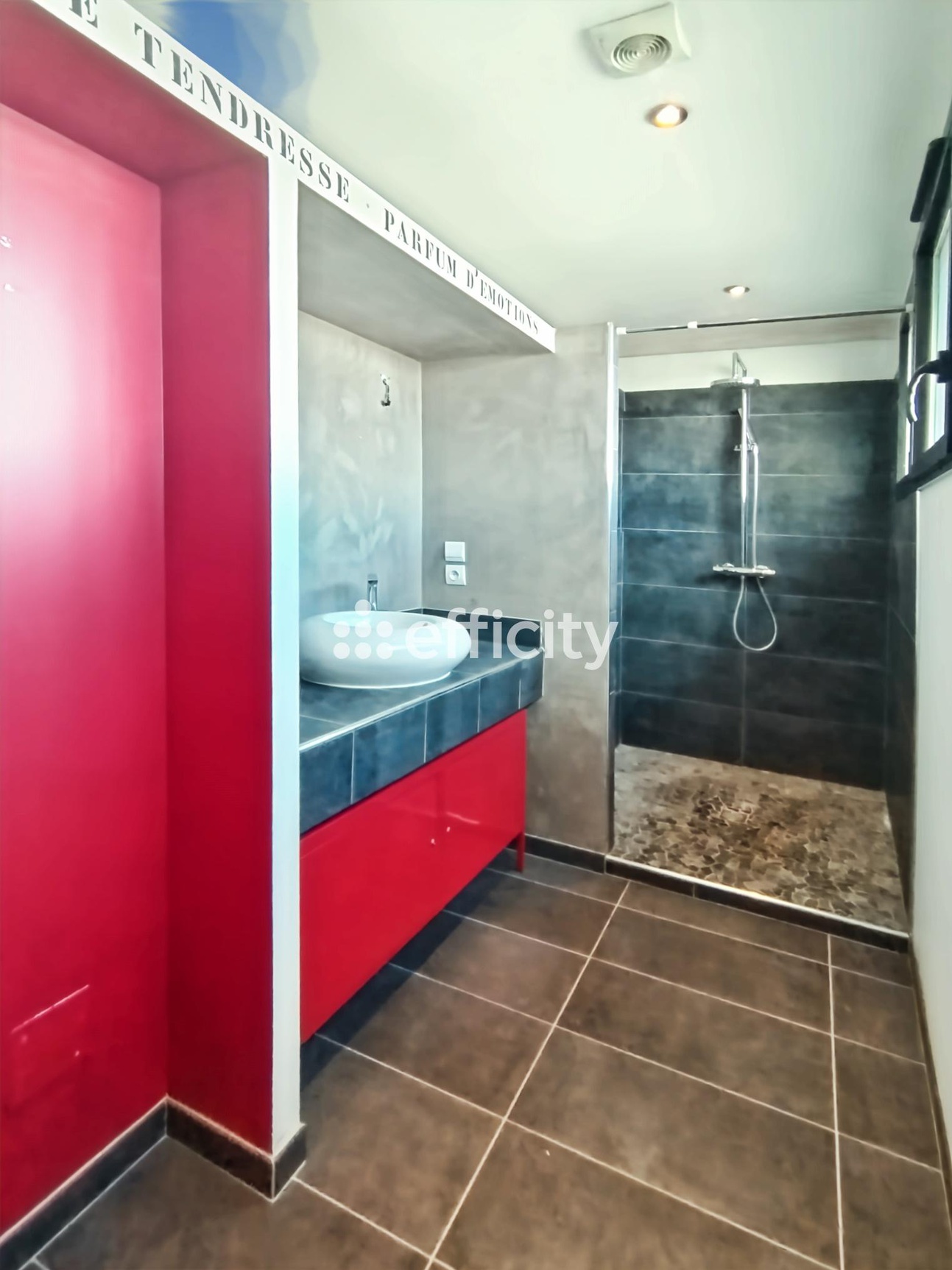 Achat immobilier Appartement 6 pièces  214m2 à La Rochelle (17000) - Photo n°11