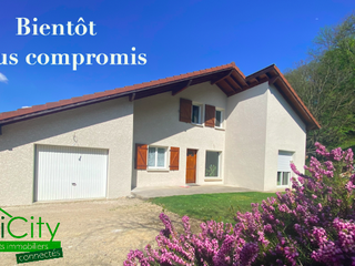 maison 6 pièces - 140m2 à Saint-Quentin-sur-Isère (38210)