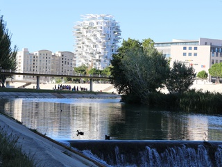 appartement 1 pièces - 22m2 à Montpellier (34000)