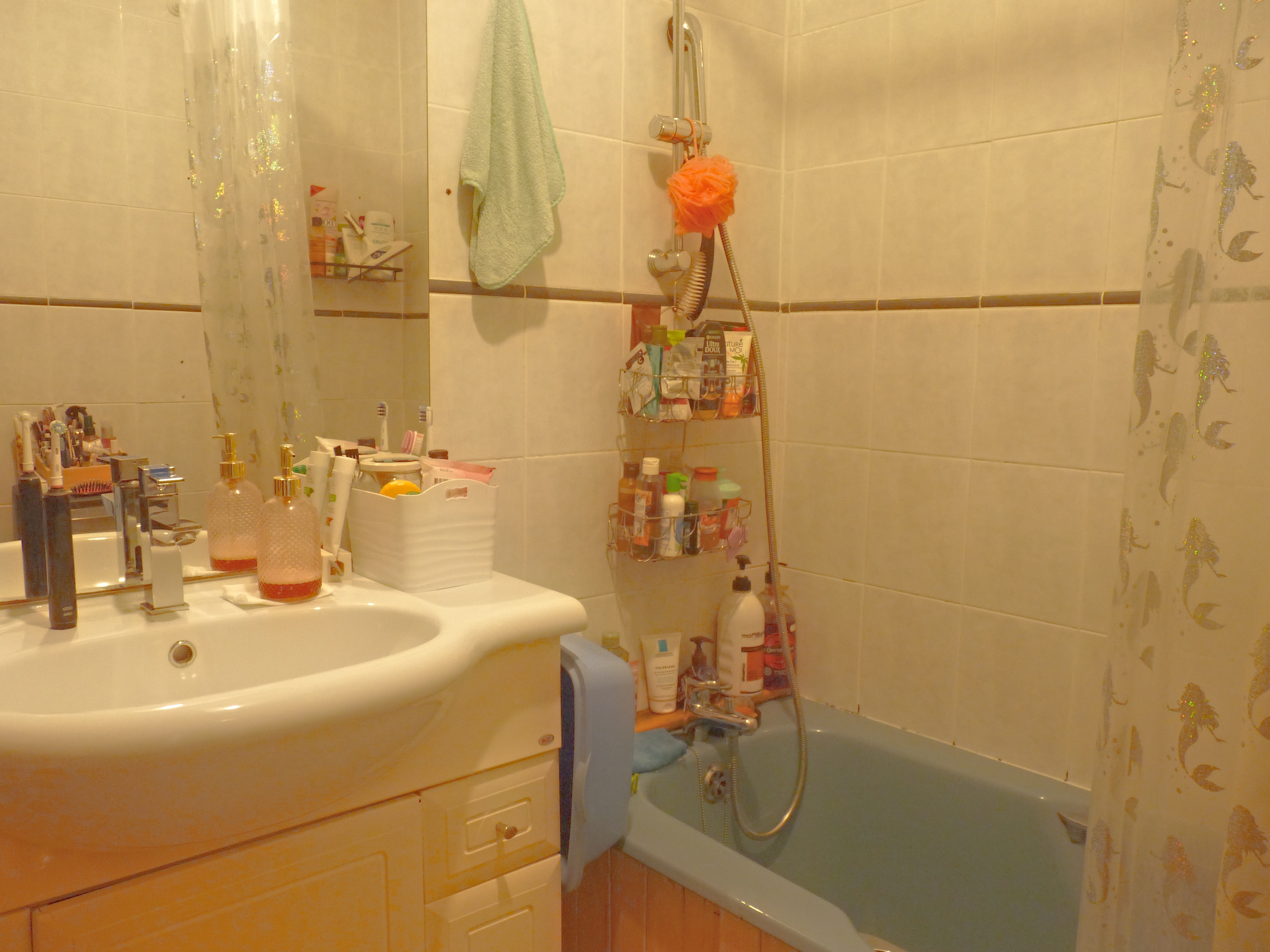 Achat immobilier Appartement 4 pièces  67m2 à Brest (29200) - Photo n°7