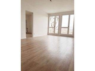 appartement 3 pièces - 65m2 à Toulouse (31500)