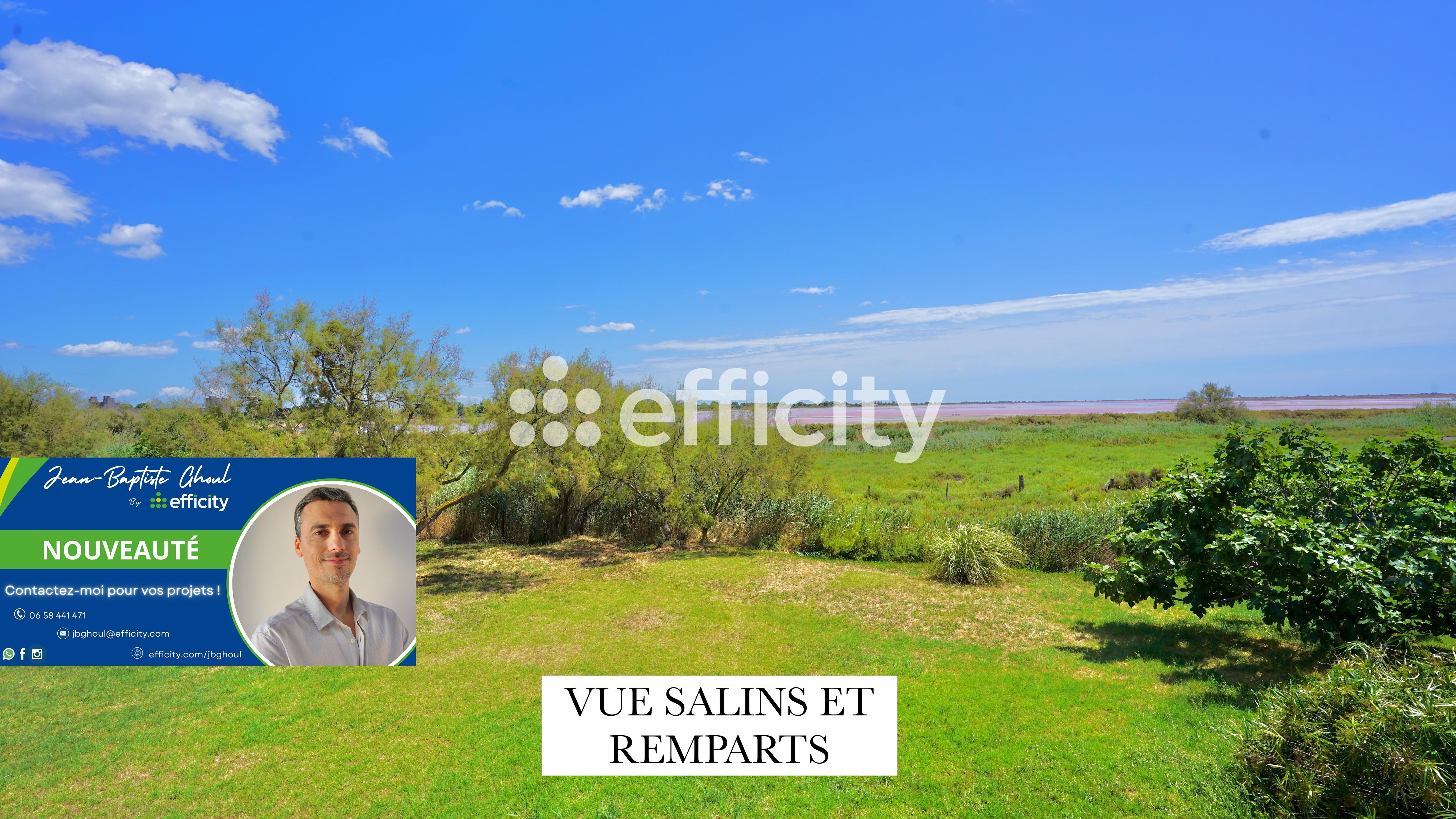 Achat immobilier Maison 7 pièces  181m2 à Aigues-Mortes (30220) - Photo n°1