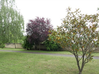 appartement 2 pièces - 53m2 à Tours (37000)