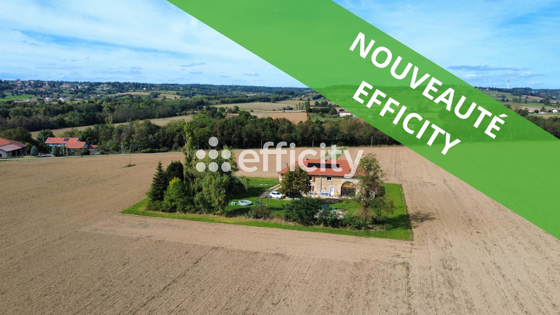 maison 8 pièces - 235m2 à Revel-Tourdan (38270)