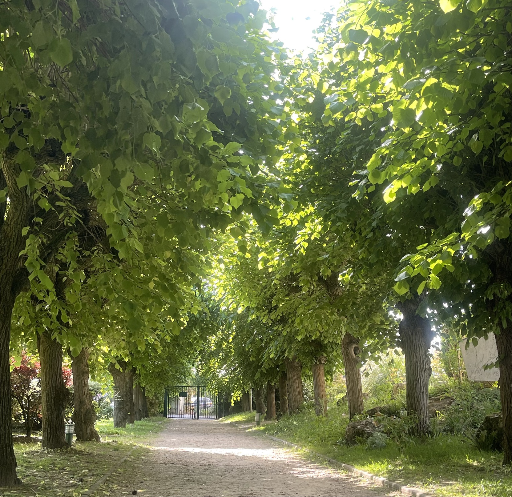 appartement 3 pièces - 65m2 à Chatou (78400)